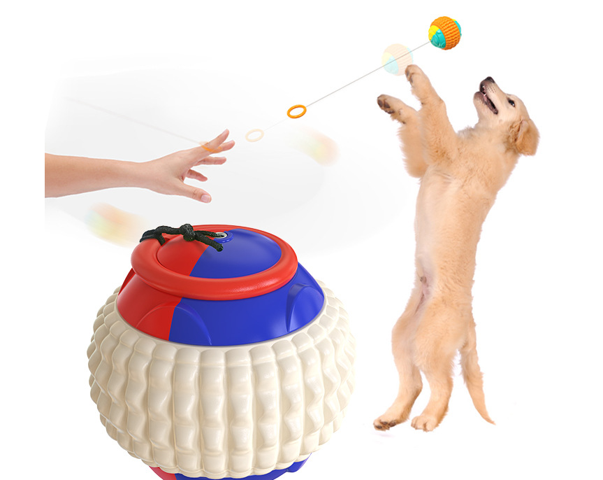 Pet toys