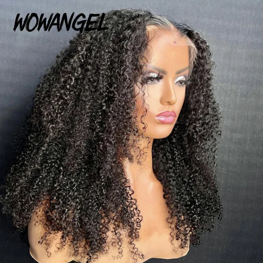 250% Afro Kinky Curly Wig 5X5 HD Lace Closure Wigs Malaysian Hair Invisible Transparent HD Lace Closure Human Hair Wig For Woman